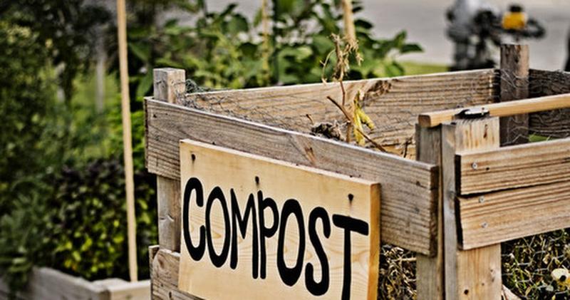 Recykling organiczny – proste sposoby na skuteczne przetwarzanie odpadów i ochronę środowiska