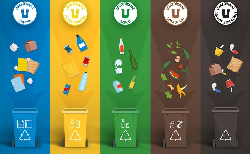 Nie wyrzucaj w ciemno: jak prawidłowo segregować opakowania po jajkach?